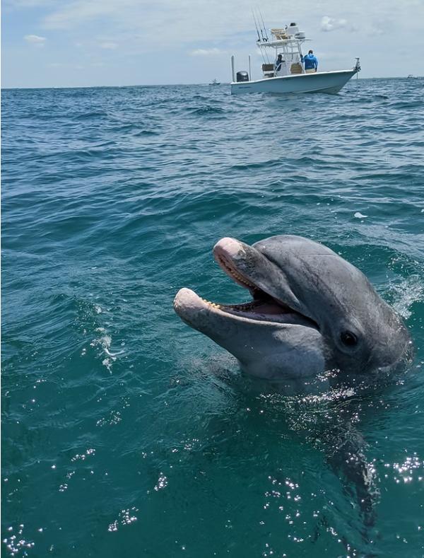 Book Fishing Charter